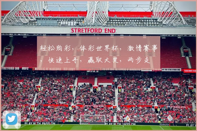 轻松购彩，体彩世界杯，激情赛事，快速上手，赢取大奖，两步走